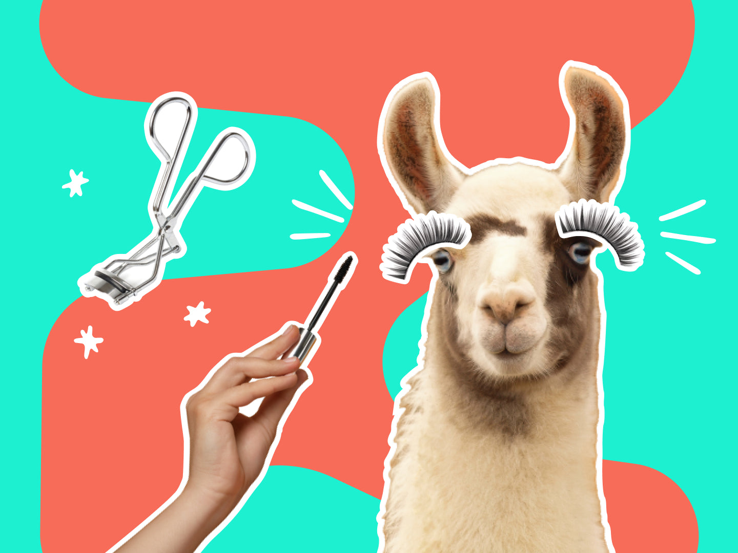 Animal Welfare Essentials