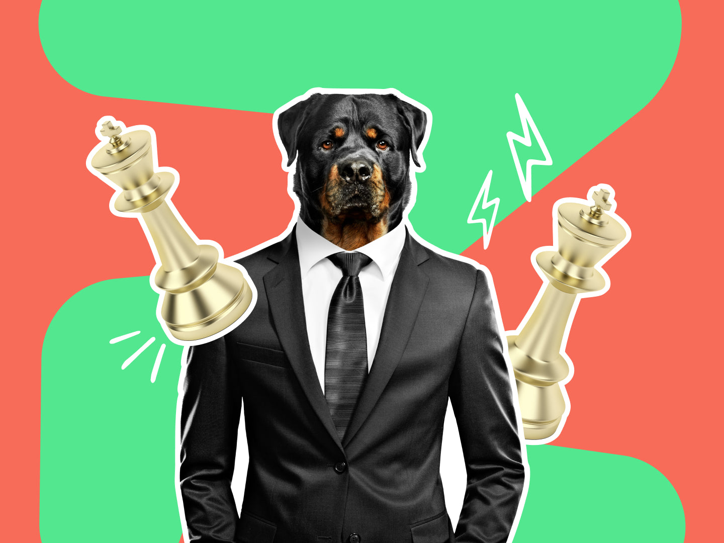 Career Kickstarter - Business (Management)