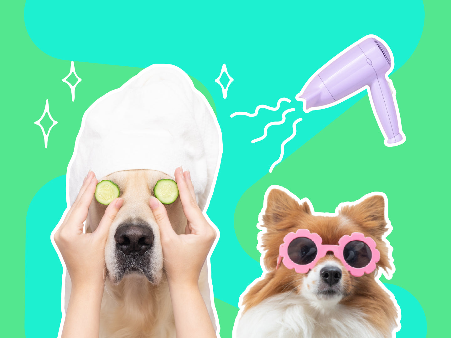 Skillin' It - Hairdressing