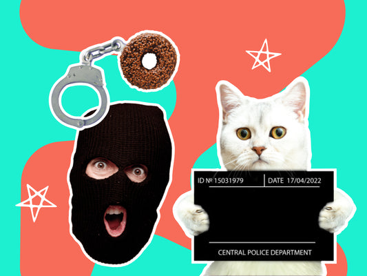 Learn About - Criminology & Police Investigations