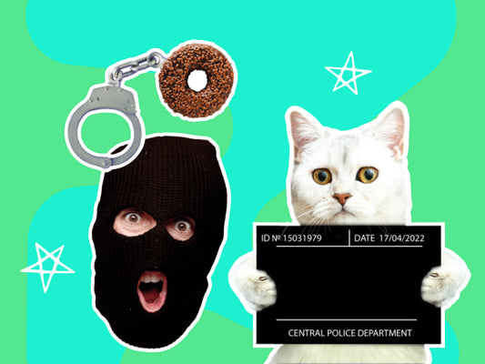 Skillin' It - Criminal Justice & Criminology