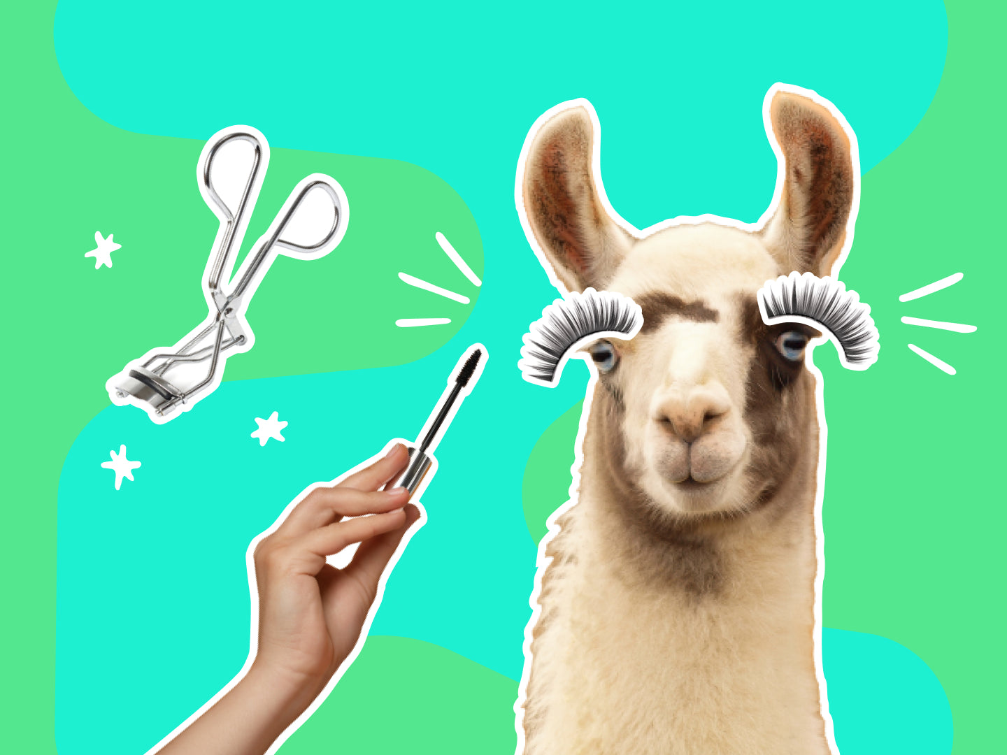 Skillin' It - Eyelash Lift and Tint