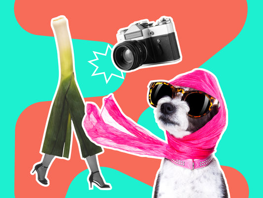 Social Media Essentials