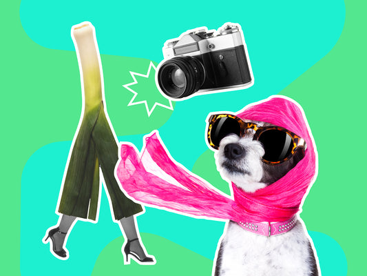 Skillin' It - Fashion