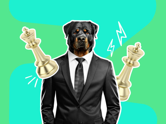 Learn to - Be a Dog Groomer