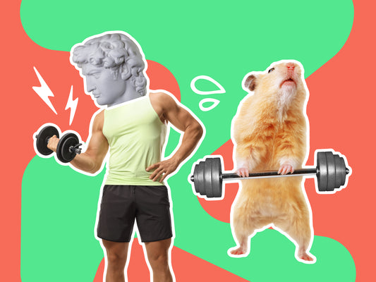 Career Kickstarter - Fitness & Personal Training