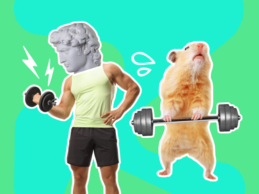 Learn to - Build Muscle