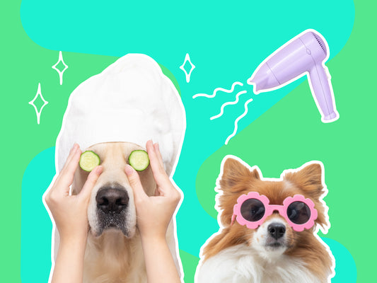 Skillin' It - Hairdressing