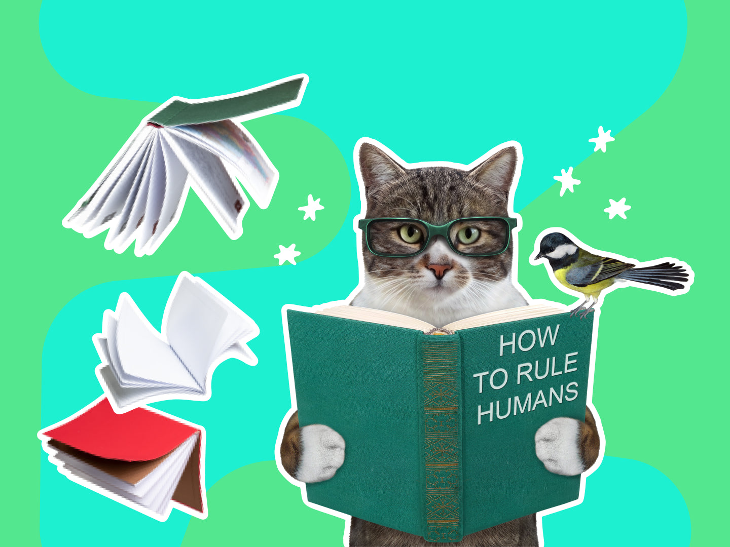 Learn to - Protect Animals