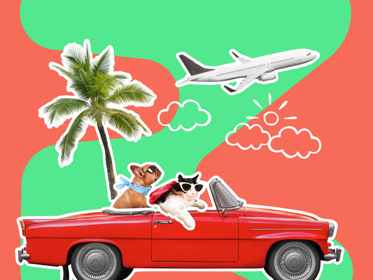 Career Kickstarter - Wedding Planner