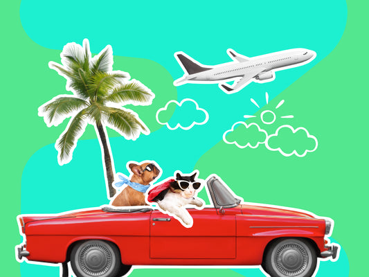 Learn to - Become a Travel Agent