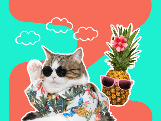 Travel & Tourism Essentials