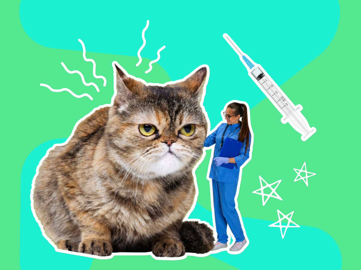 Learn to - Give Pets First Aid